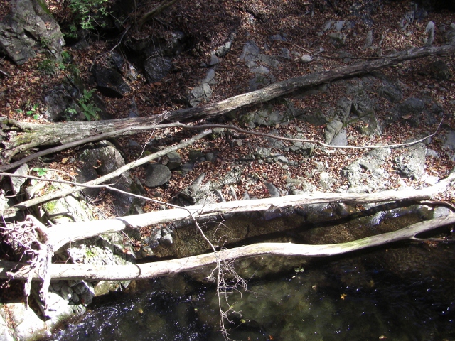 c0074721_1605936.jpg