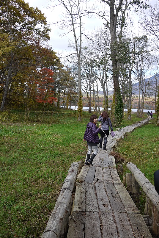 秋の函館　朝市から大沼公園へ_f0143521_23303022.jpg