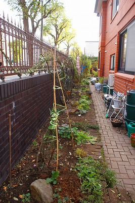 f0170524_1683381.jpg