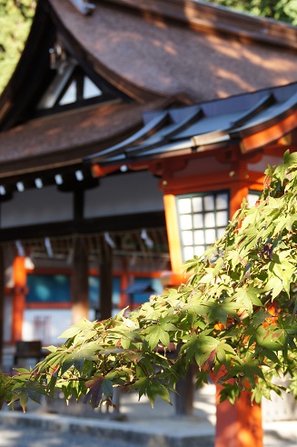 お料理の神様 ~吉田神社(京都)~_c0235725_1595463.jpg