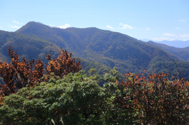 稲含山に登る　＃４　３６０度の展望　_f0017530_2052071.jpg