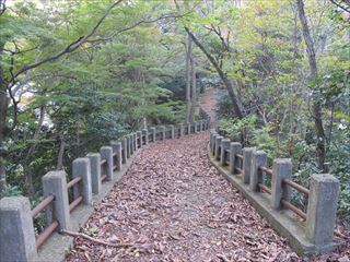 f0224632_724268.jpg