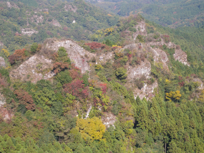 e0272335_849059.jpg