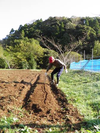 花をとるか団子をとるか、はたまた盗られるか_a0123836_16403440.jpg