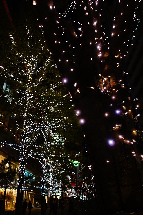 a0287336_1705178.jpg