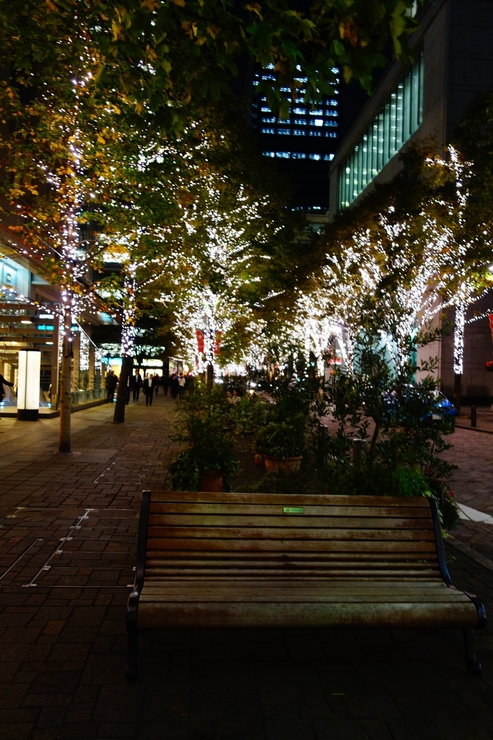 a0287336_172665.jpg