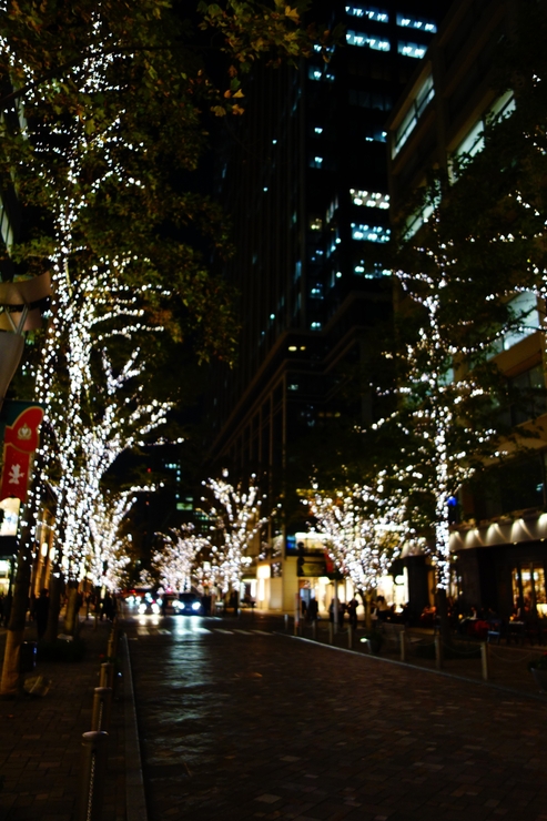 a0287336_1743071.jpg