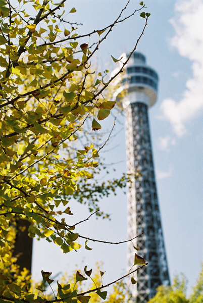 f0009439_16281771.jpg