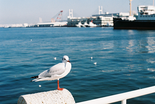 f0009439_21423333.jpg