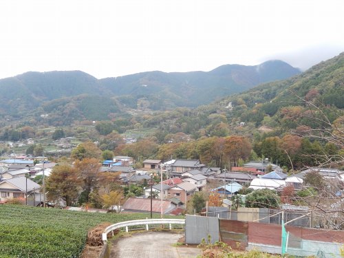 a0048040_1961179.jpg