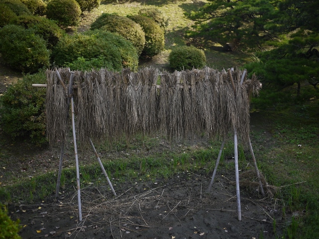 名勝　縮景園_b0190540_1384766.jpg