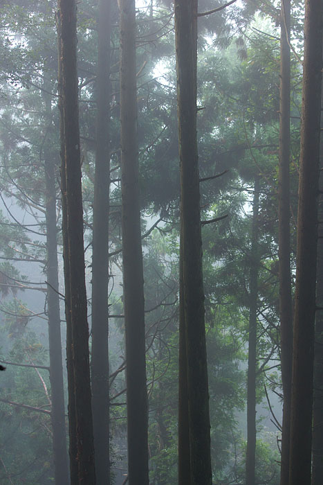 c0067040_22344087.jpg