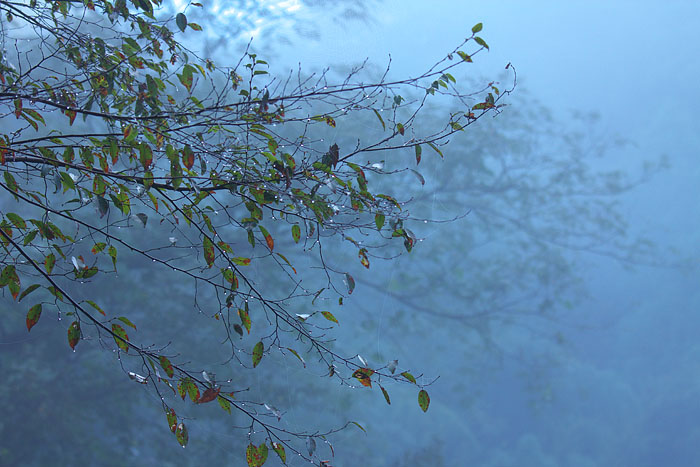 c0067040_2234979.jpg