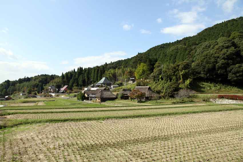 岡山・鳥取ドライブ-07♪八塔寺ふるさと村♪_d0058941_2125674.jpg