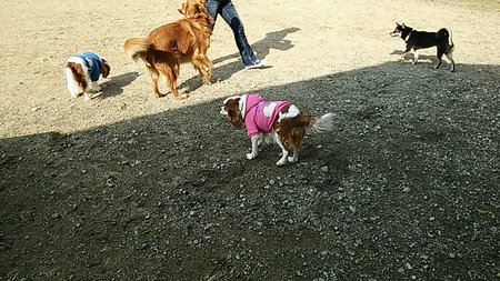 今日も頑張りましょう!_e0145441_7553583.jpg