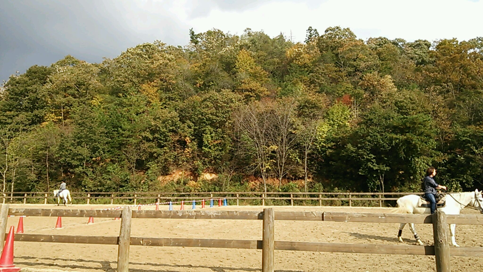 今日も頑張りましょう!_e0145441_7571410.jpg