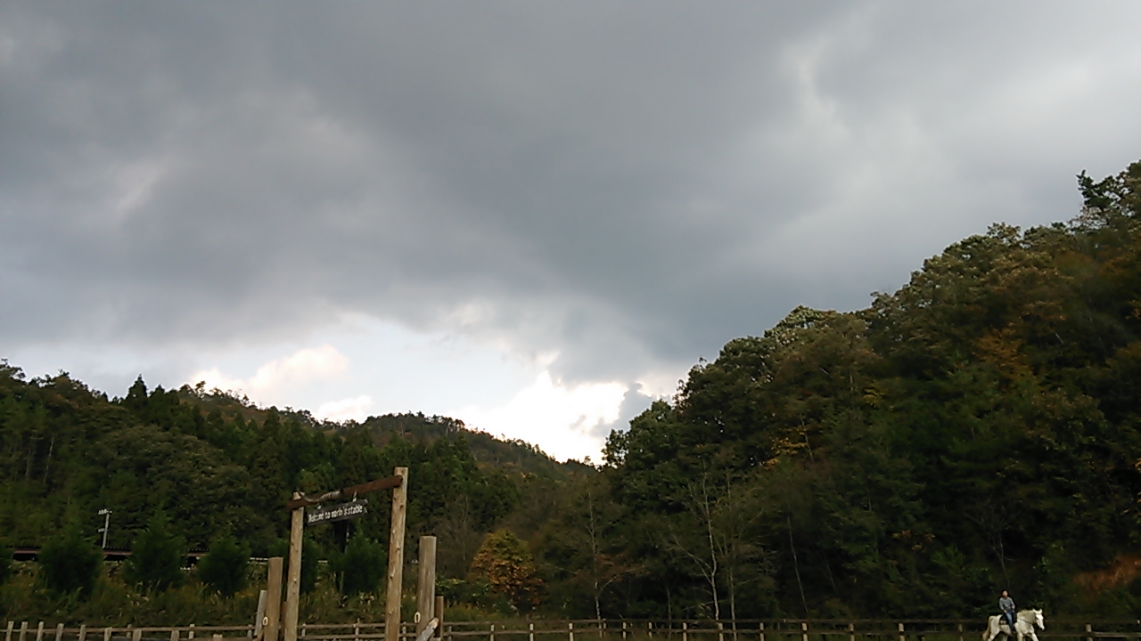今日も頑張りましょう!_e0145441_758167.jpg
