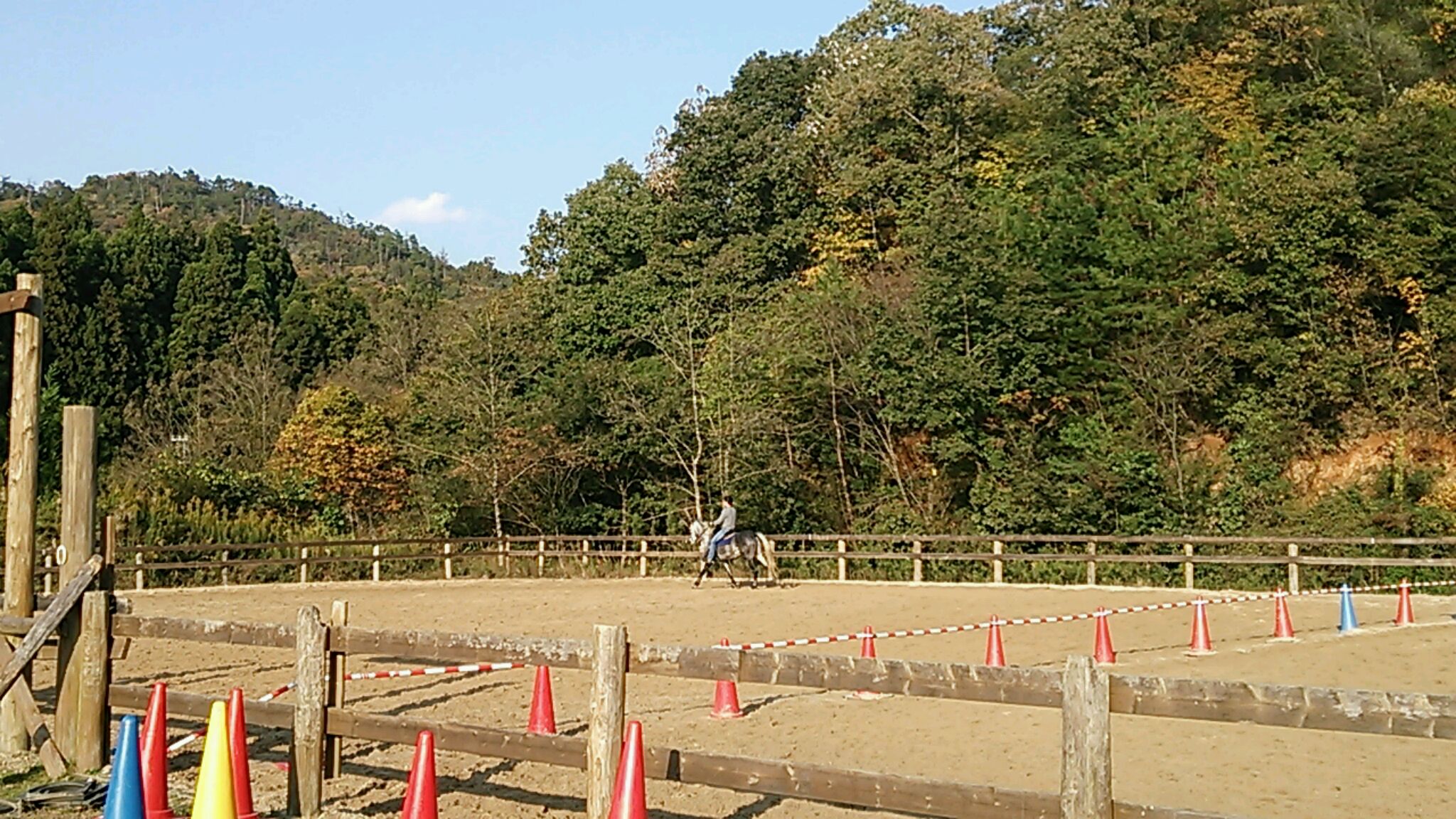 今日も頑張りましょう!_e0145441_801618.jpg