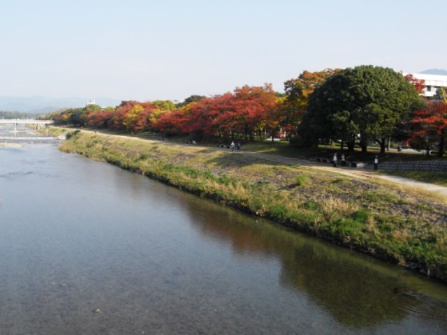 京の寄り道 紅葉の鴨川ハイウェイ_e0230141_1385063.jpg