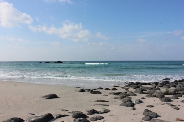 d0135342_219995.jpg