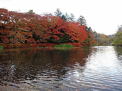 紅葉狩り＠雲場池_a0292043_8273142.jpg