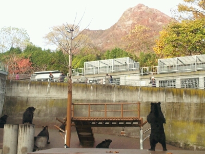 ただなんとなく_d0164343_17442983.jpg
