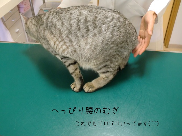 c0259945_11191211.jpg