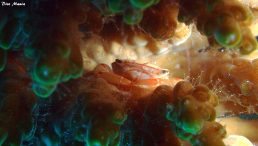 b0236647_1585931.jpg