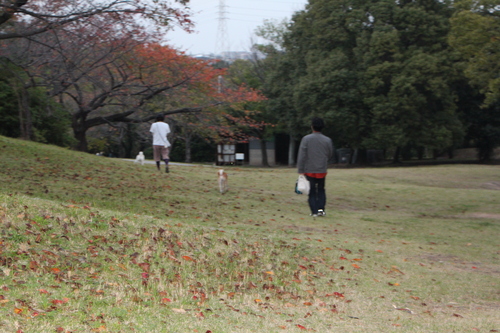 f0245650_8332669.jpg