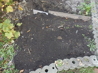 e0004756_10515819.jpg