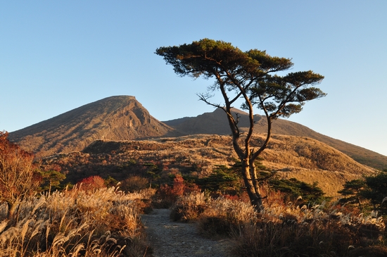 e0122156_10373442.jpg