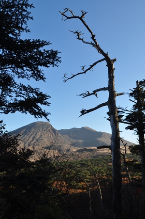 e0122156_1037871.jpg