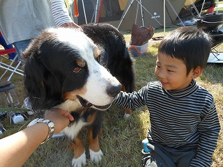 a0201257_16264410.jpg