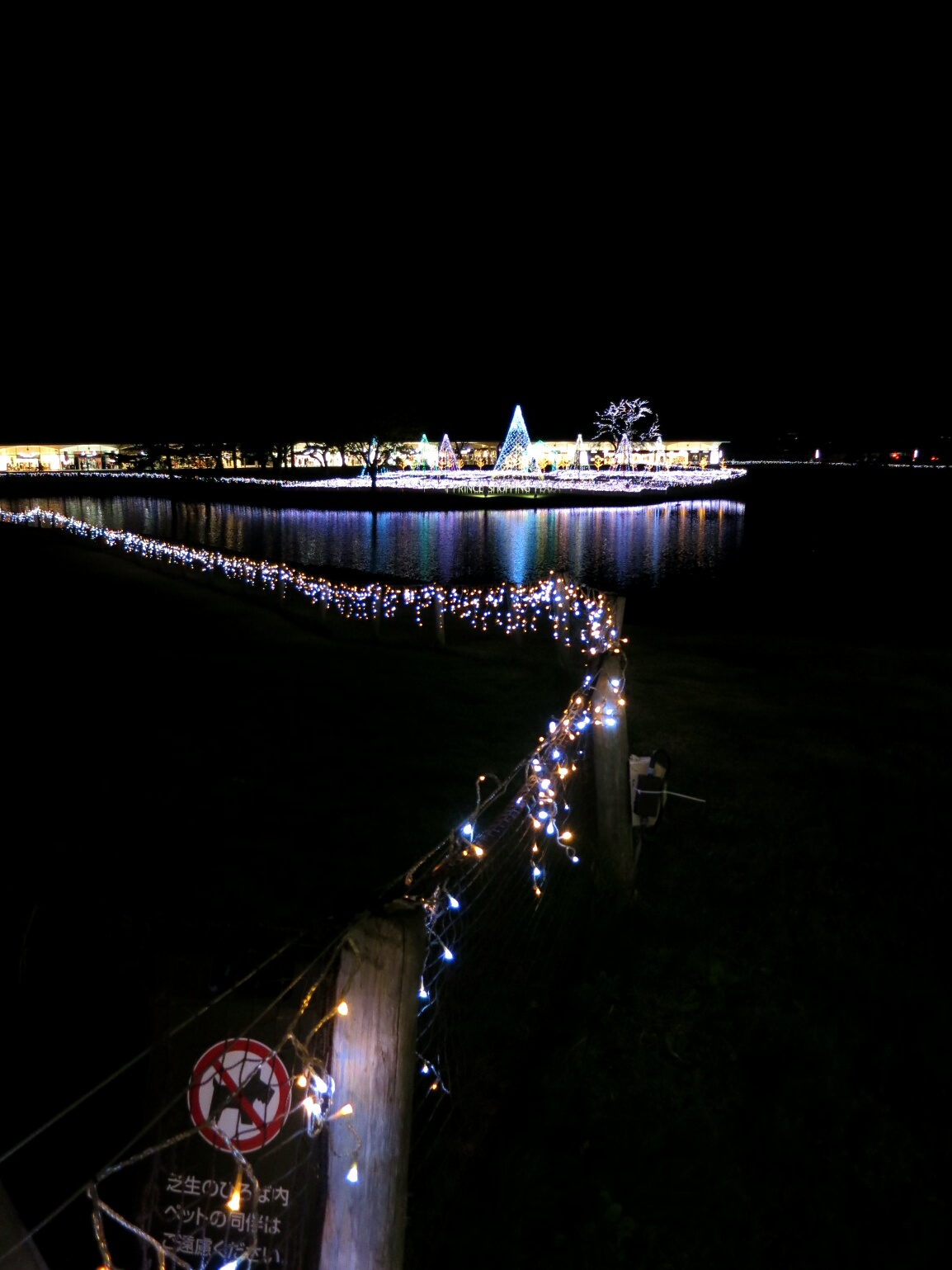 f0236260_2355399.jpg