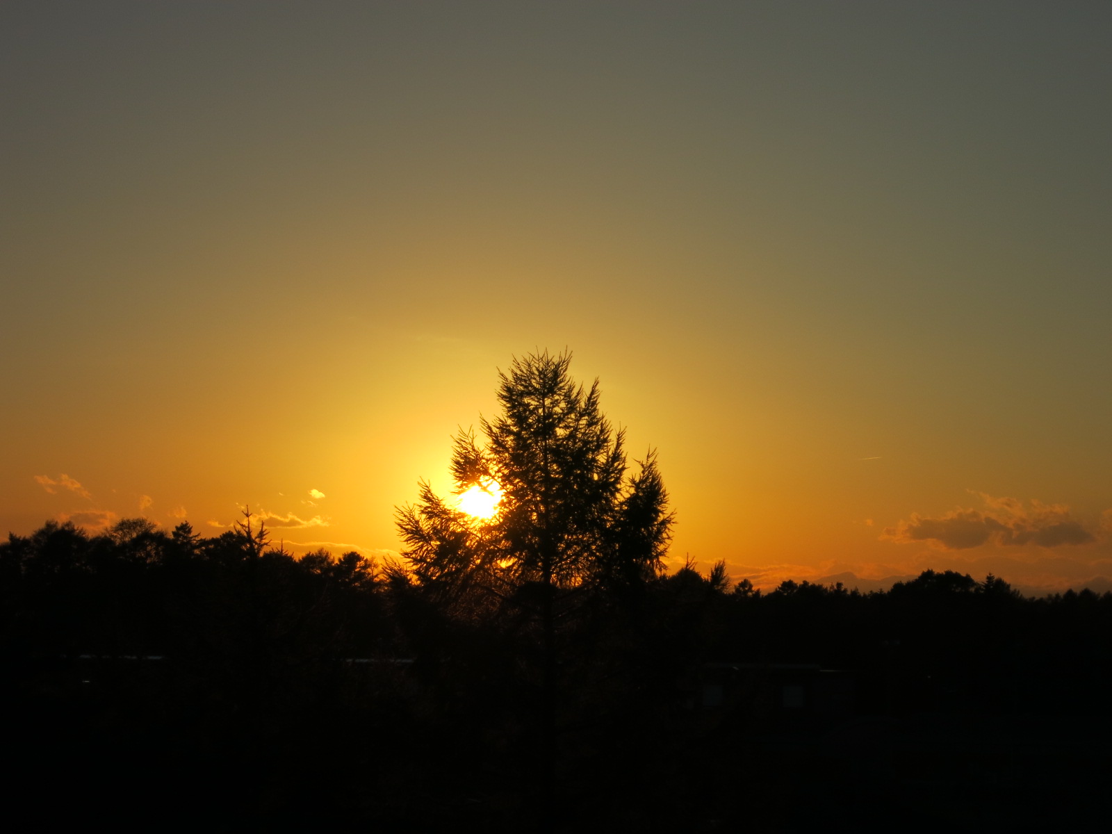 f0236260_2356294.jpg