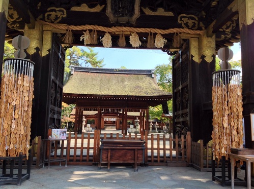 京都紅葉たより   豊国神社  おもしろ市_b0153663_1559242.jpg