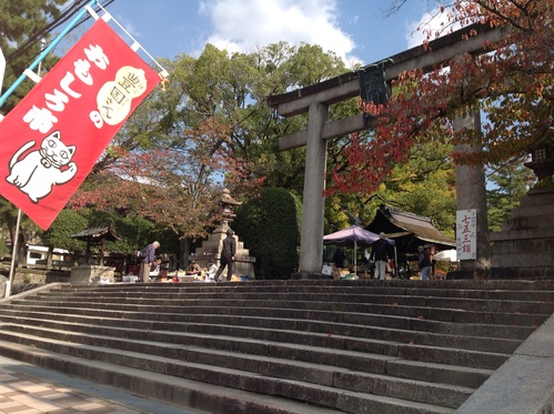 京都紅葉たより   豊国神社  おもしろ市_b0153663_1574663.jpg