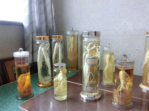 f0238767_1625638.jpg