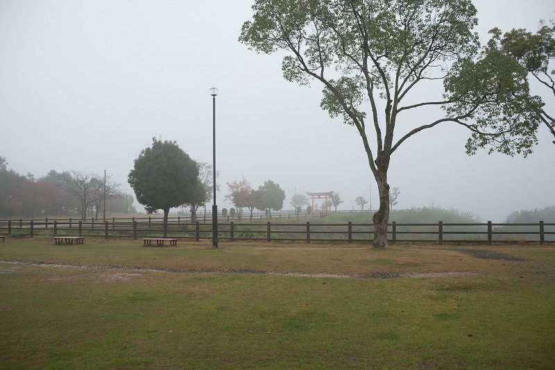 b0198768_042119.jpg