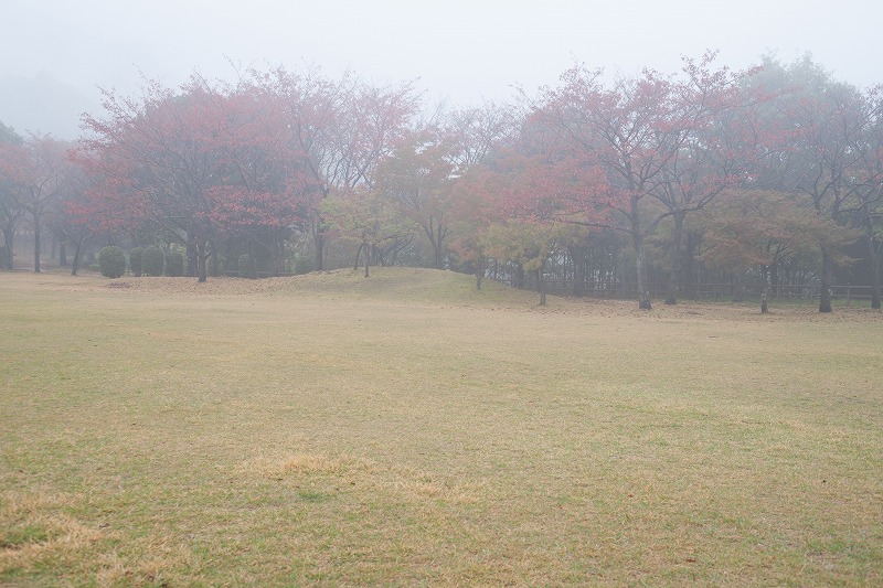 b0198768_09472.jpg