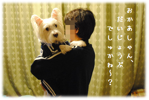 b0242873_11259100.png