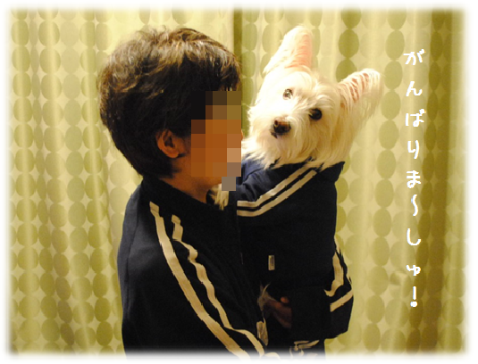 b0242873_14116.png