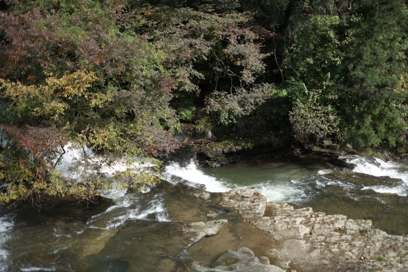 e0015174_18504920.jpg
