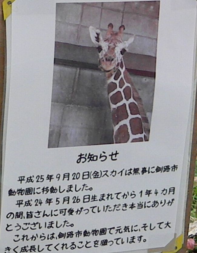 夏期開園最終日のおびひろ動物園2013_b0014576_534201.jpg