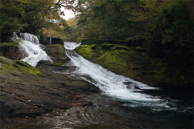 c0152779_13224015.jpg
