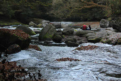 c0152779_1330477.jpg