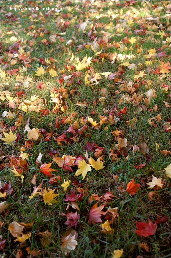 f0242684_2163678.jpg
