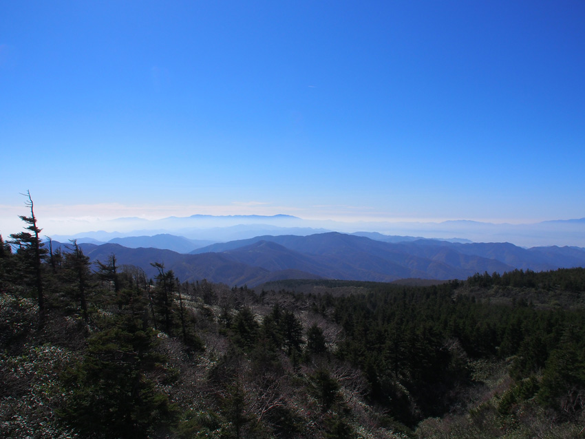 d0244687_1053611.jpg
