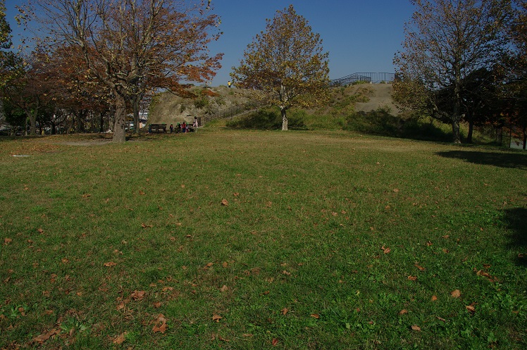 f0163491_2055327.jpg