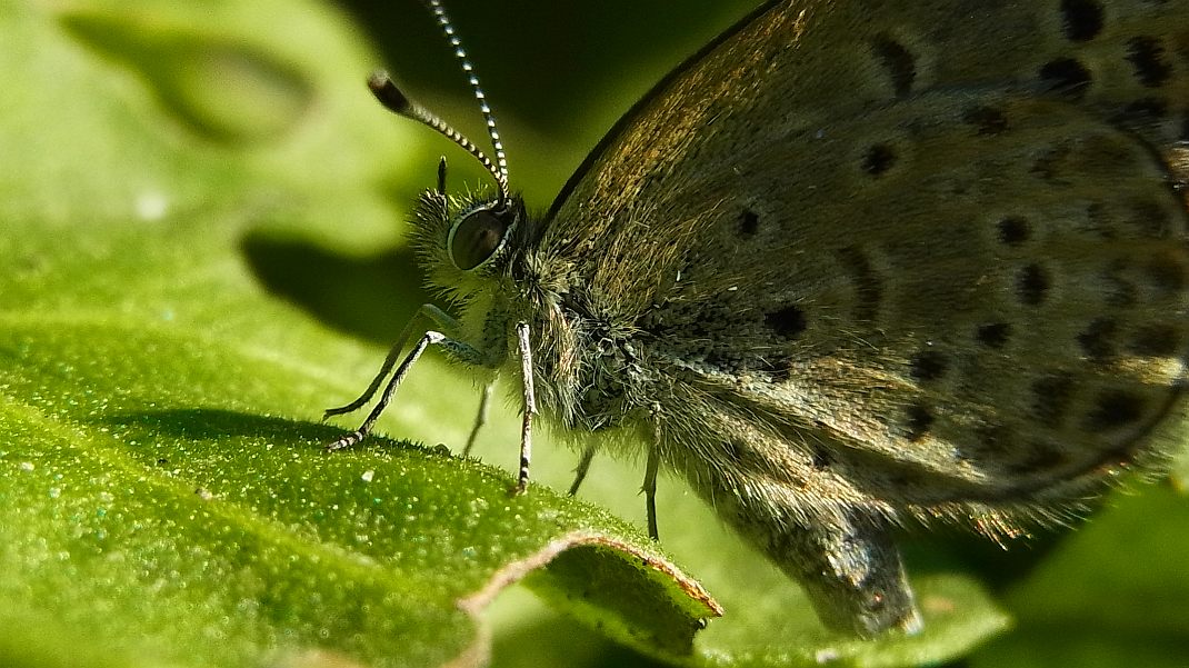 a0152692_17444152.jpg